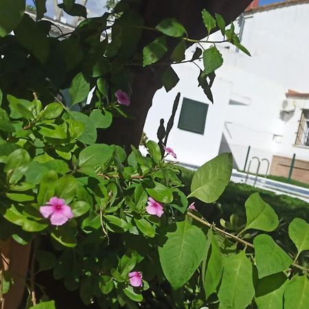 Casa Turquesa Villa Valencina de la Concepción Екстериор снимка