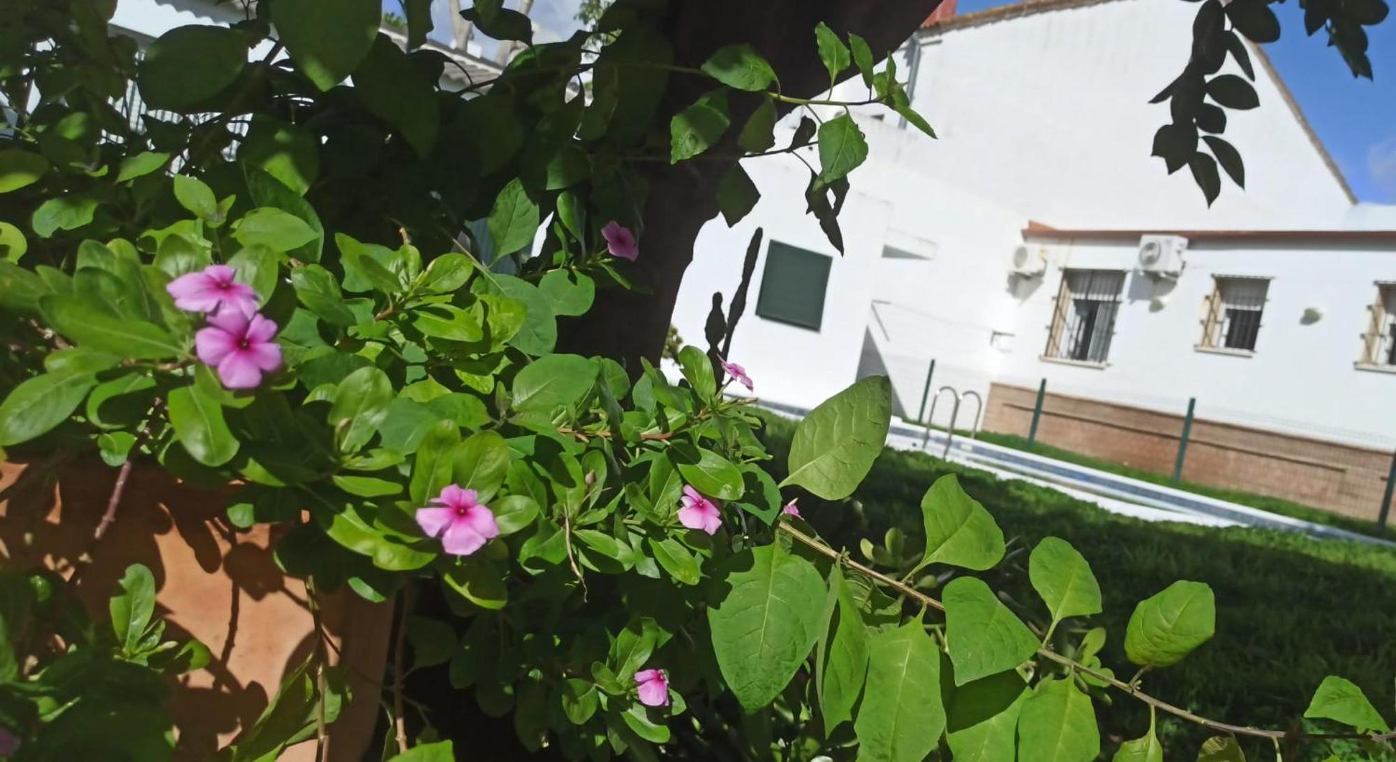 Casa Turquesa Villa Valencina de la Concepción Екстериор снимка