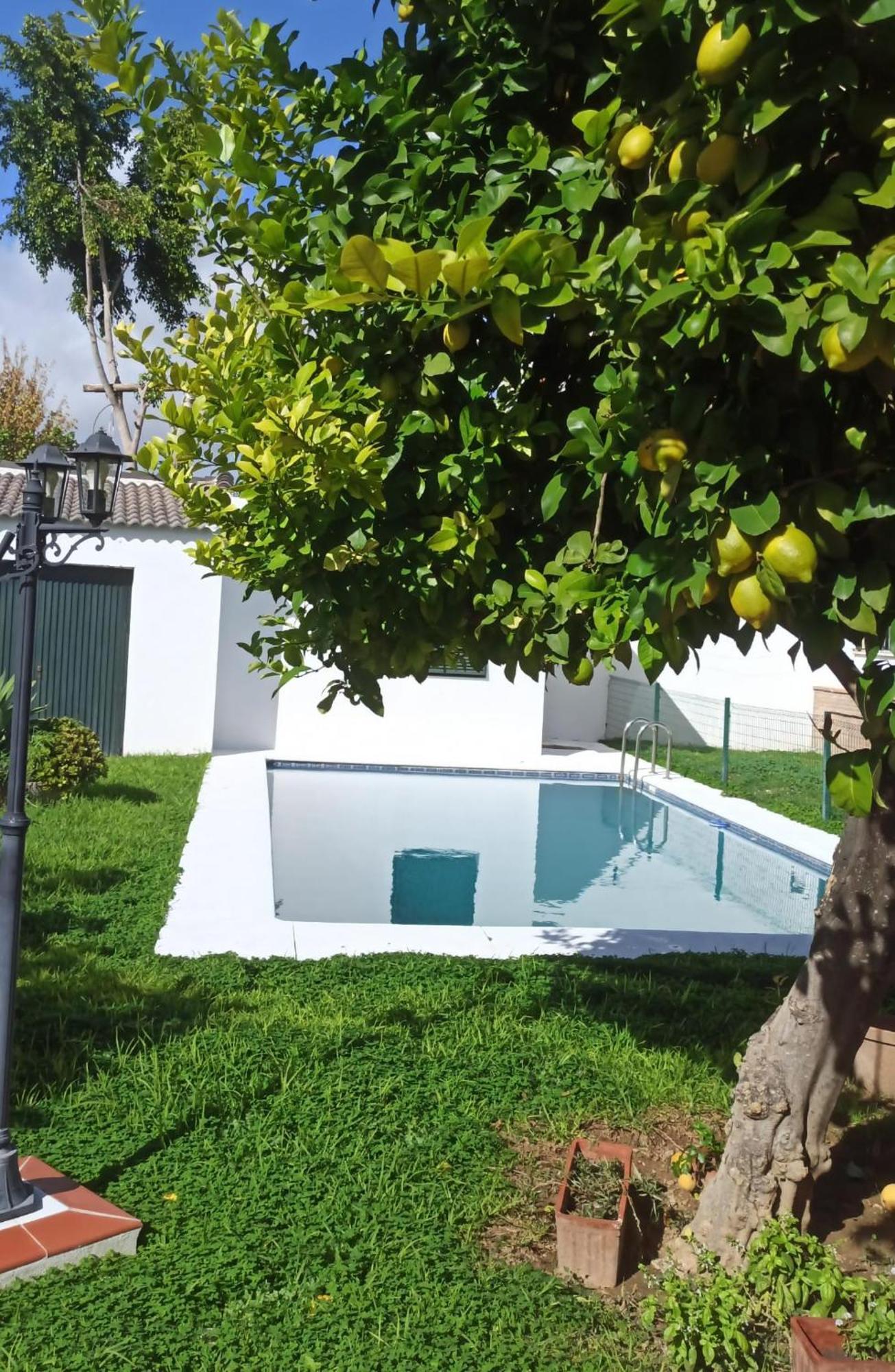 Casa Turquesa Villa Valencina de la Concepción Екстериор снимка
